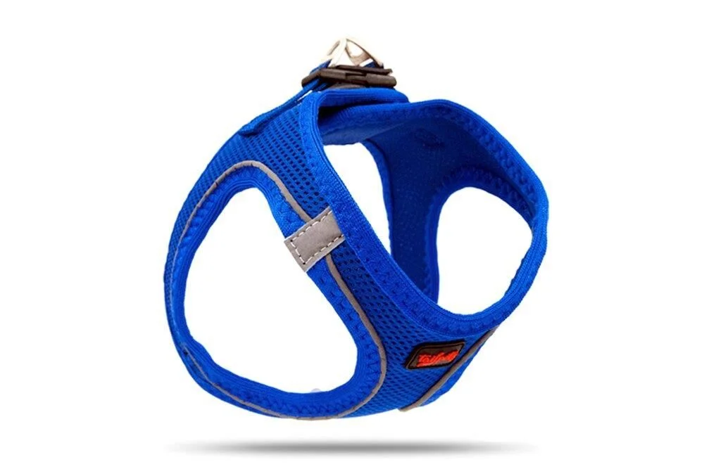 Tailpetz Air Mesh Harness Göğüs Tasması Saks Mavi X-Large