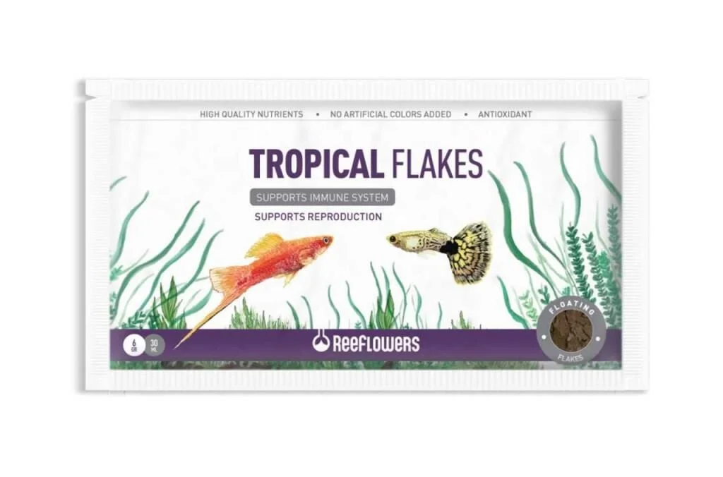TROPİCAL FLAKES 6 GR