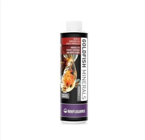 GOLDFİSH 85 ML