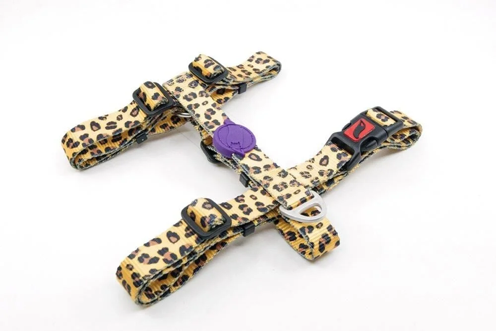 Tailpetz Leopard Göğüs Tasmasi M