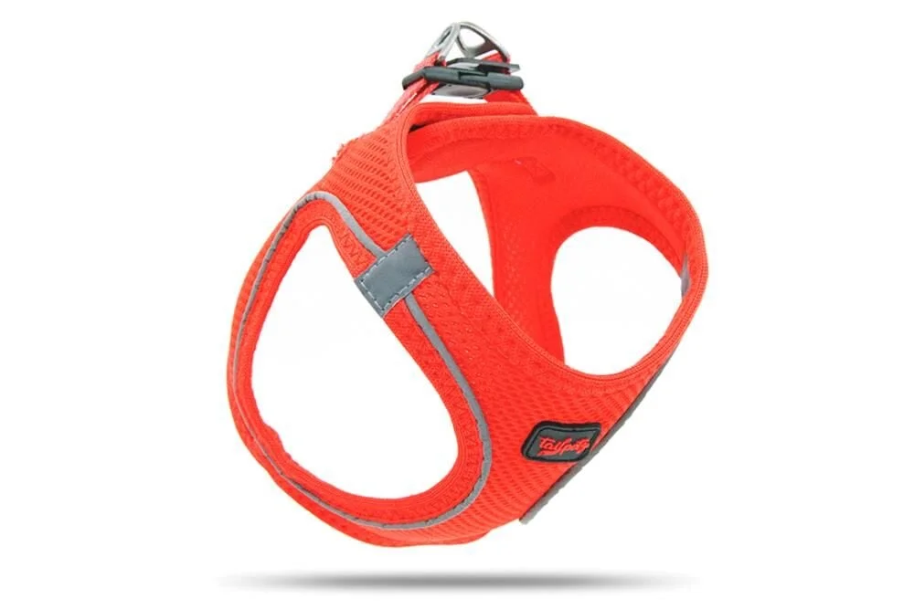 Tailpetz Air-Mesh Harness Göğüs Tasması Garnet S