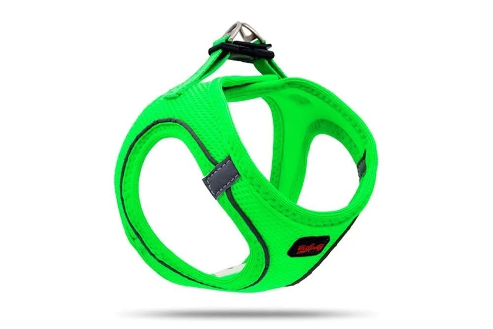 Tailpetz Air Mesh Harness Göğüs Tasması Neon Yeşil XL